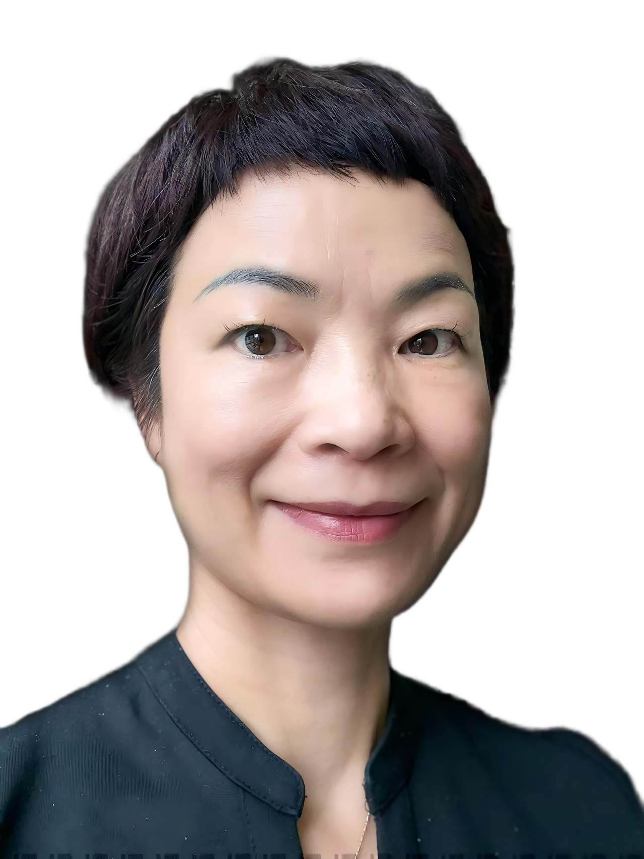 Dr. Sydney X. Hu